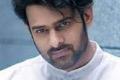 Top Bollywood Actress Reveals Truth About Prabhas Real Nature - Sakshi Post