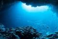 Deep-Sea Mining May Wipe Out Species Just Discovered: UK Researchers - Sakshi Post