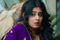  - Sakshi Post