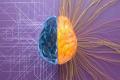 Academic Education Can Positively Impact Aging Of Brain: Study - Sakshi Post