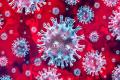 Increased Risk of Reinfection With Omicron, Says WHO - Sakshi Post