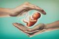 What is IVF Regulation Bill and How it Protects Rights of Donors, Couples  - Sakshi Post