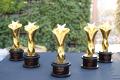 Short Video Community Tiki Launches First Edition of ‘Tiki Star Award’ - Sakshi Post