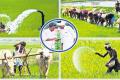 NABARD Report: AP Tops In Agricultural Infrastructure - Sakshi Post