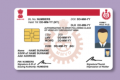 drivinglicense - Sakshi Post