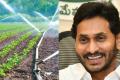 AP Leads In Micro Irrigation Implementation In the Country: NABARD Report - Sakshi Post