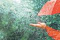Heavy rains in the coming four days in andhra pradesh - Sakshi Post