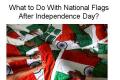 Treat National Tricolor With Dignity - Sakshi Post