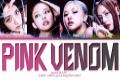 BLACKPINK’s Pink Venom Clocks 90.4 Million Views in 24 Hours - Sakshi Post