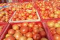 tomato price in andhra pradesh- Sakshi Post