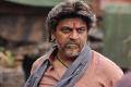 Shiva Rajkumar's Vedha Kannada Movie Review VedhaKannadaMovieReviewRating - Sakshi Post
