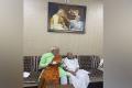 PM Modi's Mother Heeraben Hospitalised - Sakshi Post