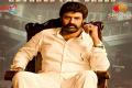 veera simha reddy box office collections - Sakshi Post