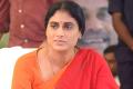 YS Sharmila Granted Conditional Bail By Nampally Court In Police Assault Case - Sakshi Post