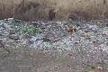 Telangana: IMD Issues Orange Alert For Hailstorms In These Places - Sakshi Post