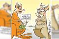 Sakshi Cartoon: Congress Leader AK Antony's Son Joins BJP 