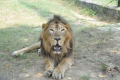 - Sakshi Post