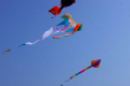 two-children-killed-kites-hyderabad - Sakshi Post