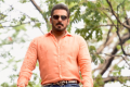 - Sakshi Post