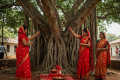 - Sakshi Post