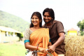 - Sakshi Post
