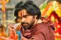 - Sakshi Post