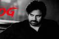 - Sakshi Post