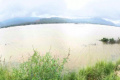 - Sakshi Post