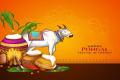 - Sakshi Post