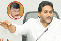- Sakshi Post