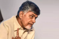- Sakshi Post