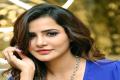 - Sakshi Post