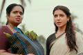 - Sakshi Post
