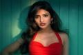  - Sakshi Post