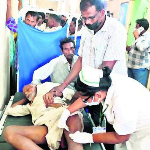 Andhra Pradesh: Rabid Dog Attacks Over 2 Dozen People Including 10 Kids in Kakinada - Vimarsana News