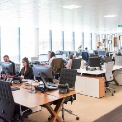 Indians think that employees should bear the responsibility to drive sustainability at the workplace 1 in 3 Indians think employees should drive sustainability at workplace - Vimarsana News