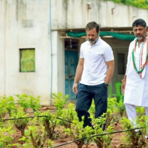 Shivakumar meets Rahul, gets proposal to have a say in K'taka cabinet selection - Vimarsana News