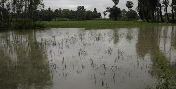 YSRCP demands immediate relief for flood victims - Sakshi Post