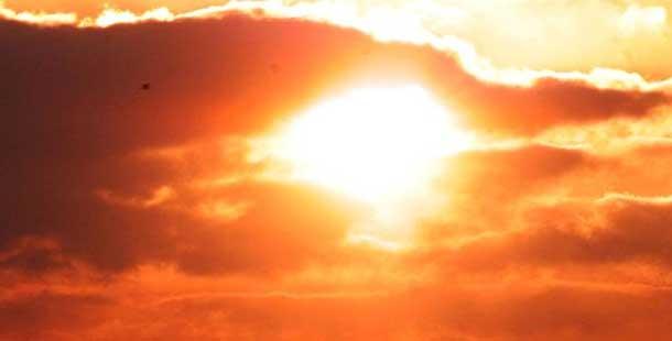 22 die of sun stroke in AP - Sakshi Post