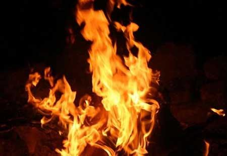 Pregnant woman burnt alive for dowry in Rajahmundry - Sakshi Post
