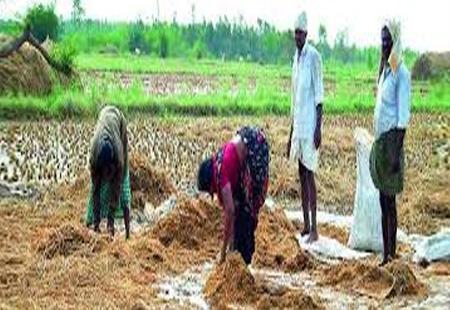 Freak rains kill 9, damage crops in AP - Sakshi Post