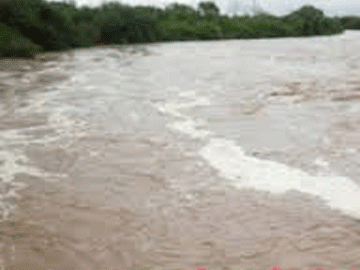 Rain boosts farming activity in Telangana - Sakshi Post