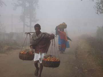 Cold wave conditions continue in Telangana, Andhra - Sakshi Post