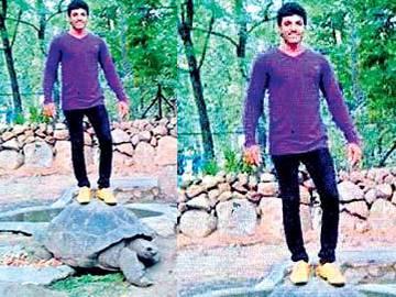 Selfie atop turtle lands youth in trouble - Sakshi Post