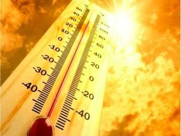 Heat wave kills 427 people in Telugu states - Sakshi Post