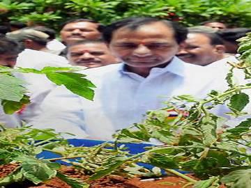 Agriculture department must help farmers: Telangana CM - Sakshi Post