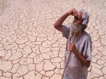 Telangana Reeling under Severe Drought: Report - Sakshi Post