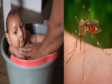 Indian firm developing vaccine for Zika virus - Sakshi Post
