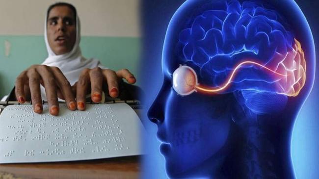 The study says the visual cortex -- also known as the visual area -- involved in doing maths is similar in both blind as well as sighted people. - Sakshi Post