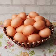 Fake egg claims are unverified, say officials - Sakshi Post
